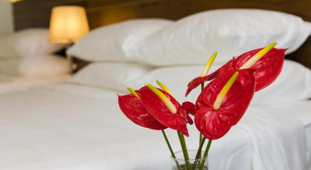 Двухместный номер Superior Sea Pearl Hotel