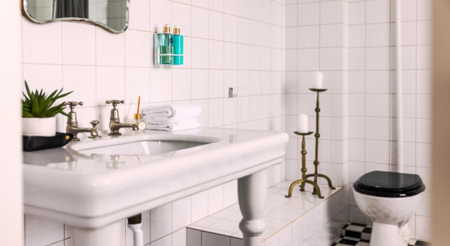 Полулюкс Deluxe Grå Gåsen