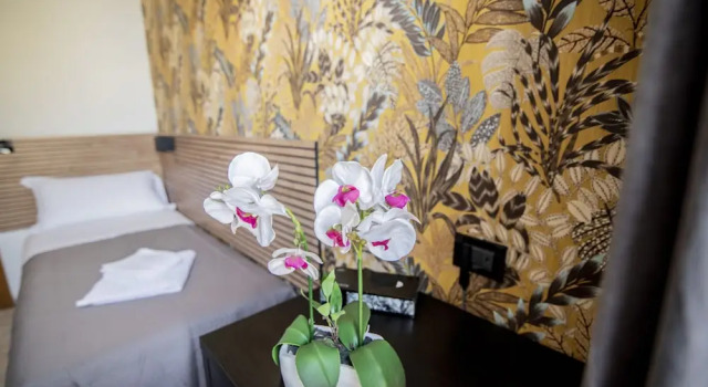 Номер Standard Hotel DellUrbe