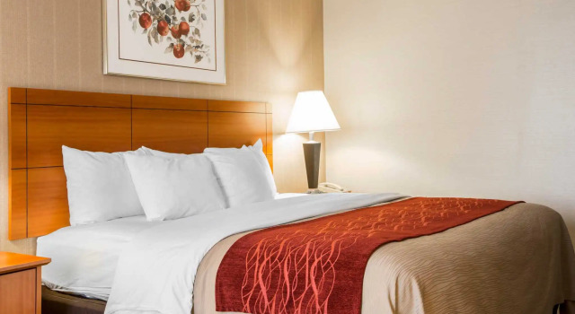 Номер Standard Comfort Inn White River Junction