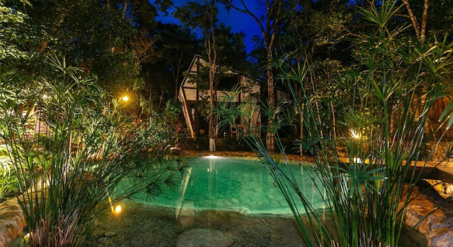 Номер Standard Nahouse Jungle Lodges