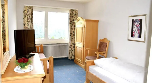 Одноместный номер Standard с красивым видом из окна Hotel Salastrains