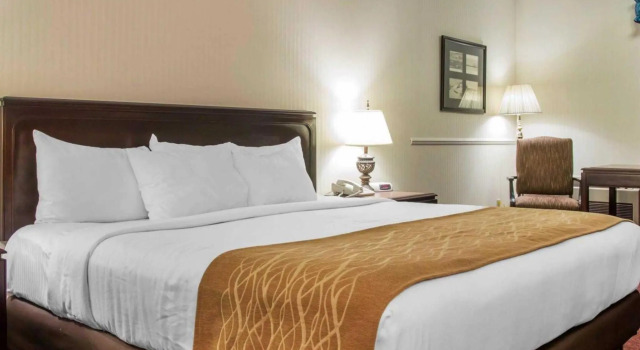 Номер Standard Comfort Inn Lakeside