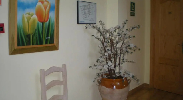Апартаменты Apartamentos Casanova