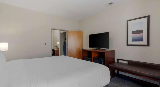 Люкс Standard Comfort Suites Stockbridge Atlanta South
