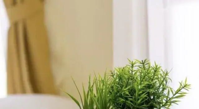 Tofu House CNX Near Nimman- Airport 4 bedroom 6 bed with 3 Bath Room