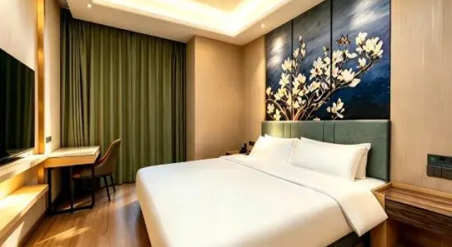 Люкс Magnolia Hotel (Zaozhuang High-Speed Rail Station / Zaozhuang University Branch)