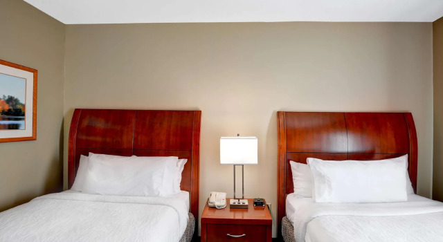 Четырёхместный люкс c 1 комнатой Hilton Garden Inn Tampa Northwest/Oldsmar