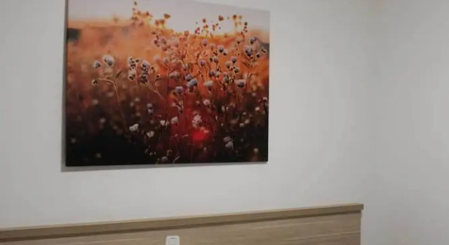 Двухместный номер Standard Hotel San Lucas