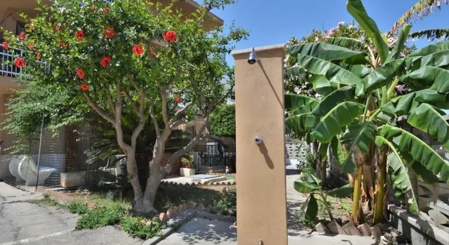 Rosyta S Jasmine In Alcamo