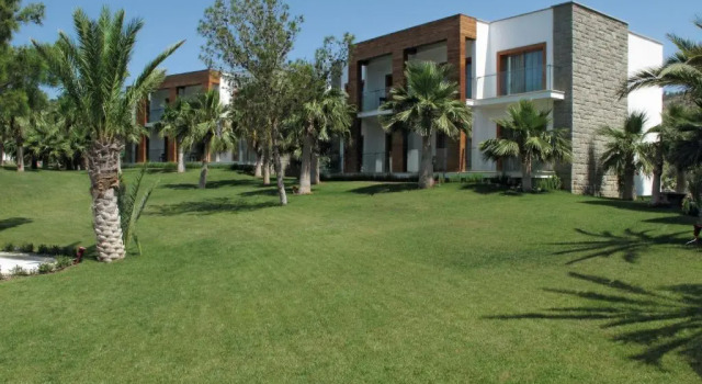 Люкс Palm Hillstone Bodrum Hotel & Spa