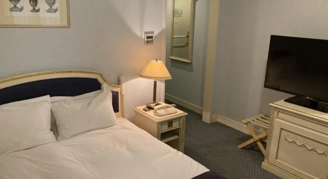 Одноместный номер Donau Classic Hotel Monterey Osaka