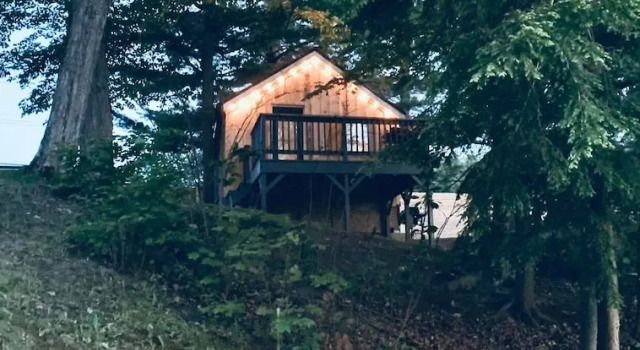 Номер Royal Muskoka Lake Cottages