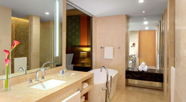 Полулюкс Radisson Blu Hotel Guwahati