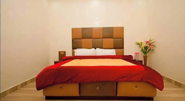 Номер Deluxe Snow Touch Resort (Shri Nath Group)