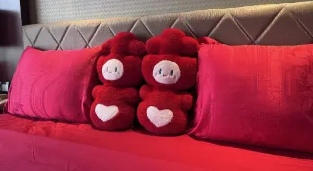 Люкс Wuhan Soluxe Hotel