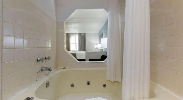 Двухместный люкс Quality Inn Alexis Rd