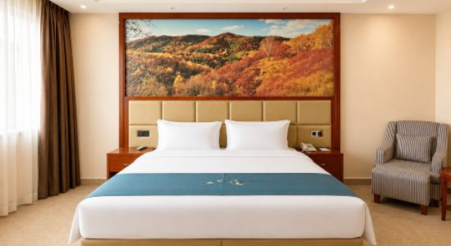 Suite Business JiZhou Hotel