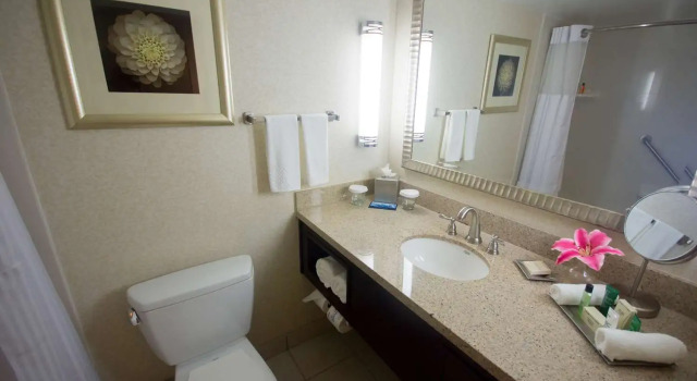 Четырёхместный номер Superior Hilton Palm Beach PBI
