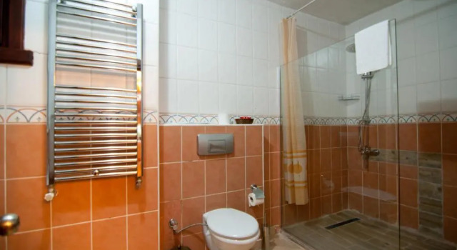 Полулюкс с балконом Villa Sphendone Suites Istanbul