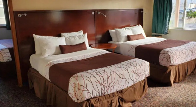 Номер Standard Olympic Inn & Suites