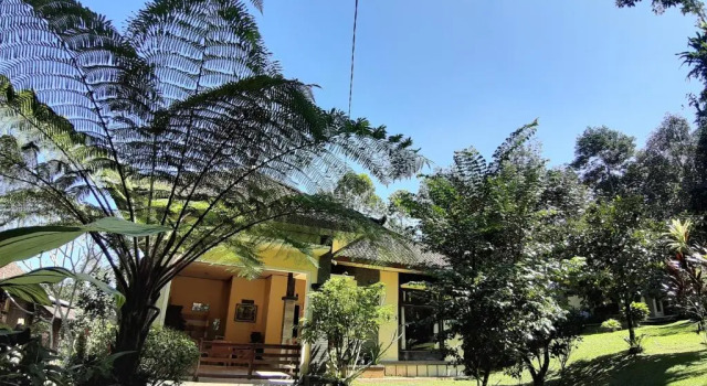 Бунгало Standard с балконом и с красивым видом из окна Tegal Jero Homestay