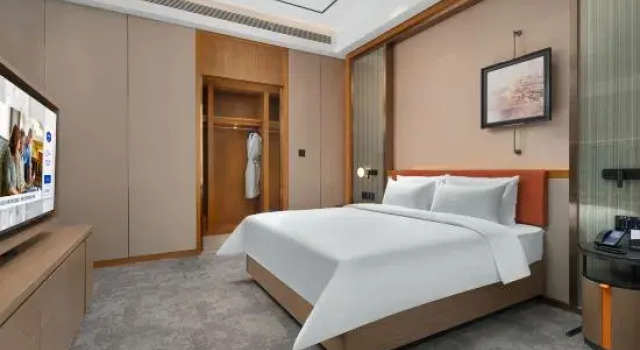 Люкс Business Hampton by Hilton Chongqing Jiangbeizui