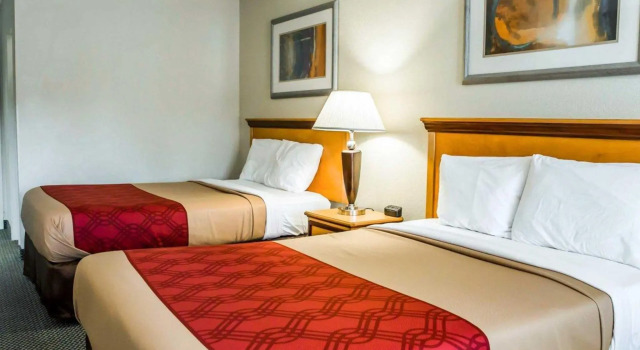 Четырёхместный номер Standard Econo Lodge Whiteville