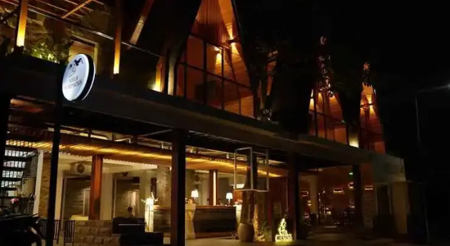 Villa Morphosis