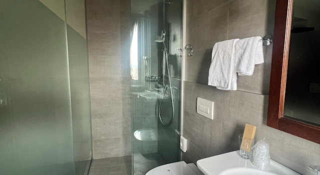 Одноместный номер Standard Hotel Il Grappolo DOro