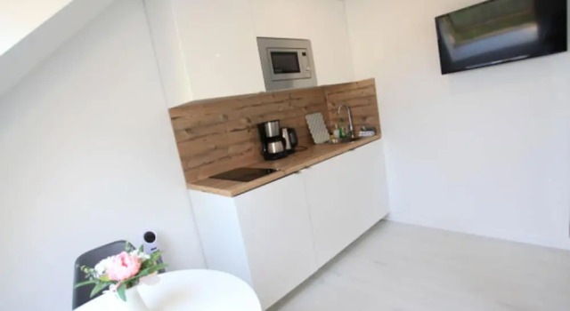 Двухместный номер Standard Zollikof Aparts - Sauna & Studioapartments