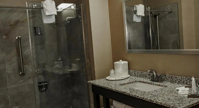 Двухместный номер Premium Radisson Hotel Edmonton Airport