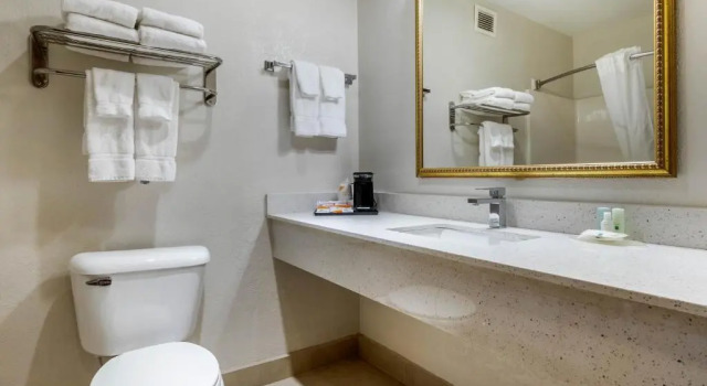 Люкс Quality Inn & Suites Lexington South