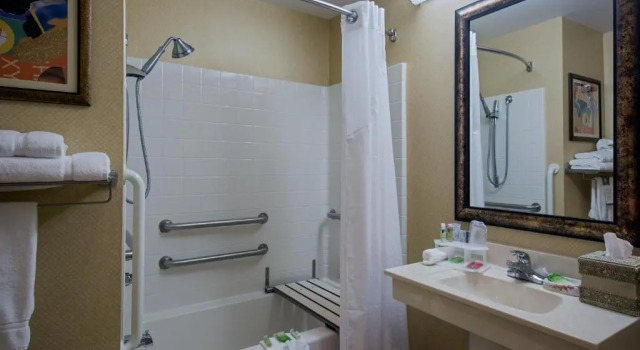 Одноместный люкс Holiday Inn Express Hotel & Suites Youngstown North-Warren/Niles by IHG
