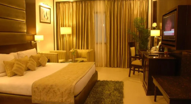 Двухместный номер Deluxe Hotel Shanti Palace Mahipalpur