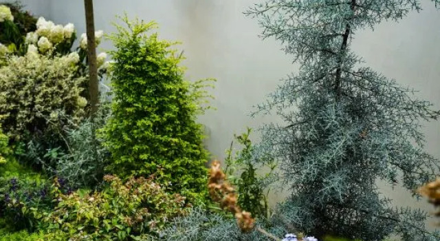 Zhangjiajie Xiwu Homestay