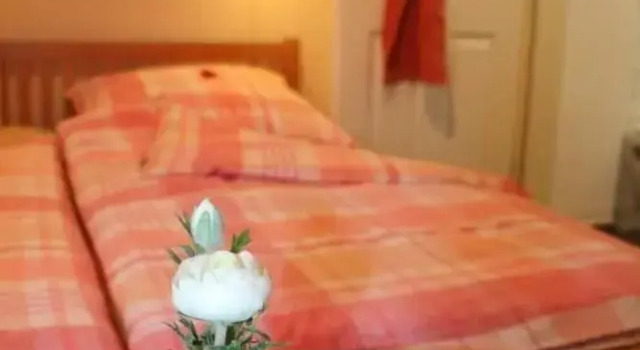 Двухместный номер Classic DARZ GästeZimmer