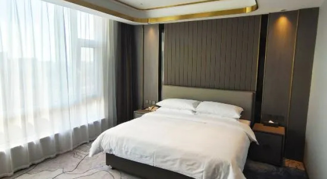 Люкс Superior Vienna Hotel （Xinhe Yixing Building Hotel）