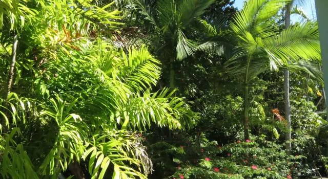Апартаменты c 1 комнатой с балконом Port Douglas Outrigger Holiday Apartments