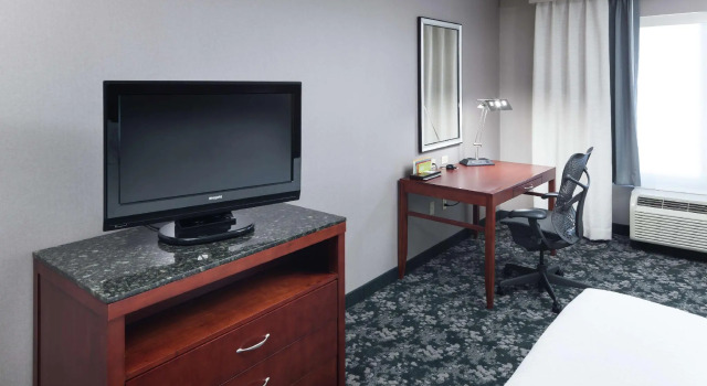 Четырёхместный номер Standard Hilton Garden Inn Naperville/Warrenville