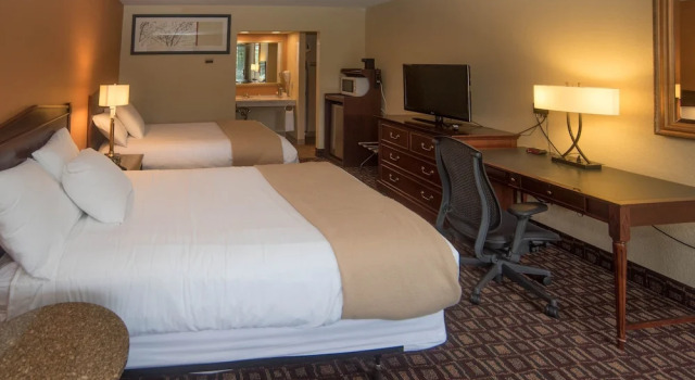Номер Premium Colonnade Inn