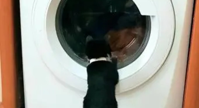 Тапок Хостел