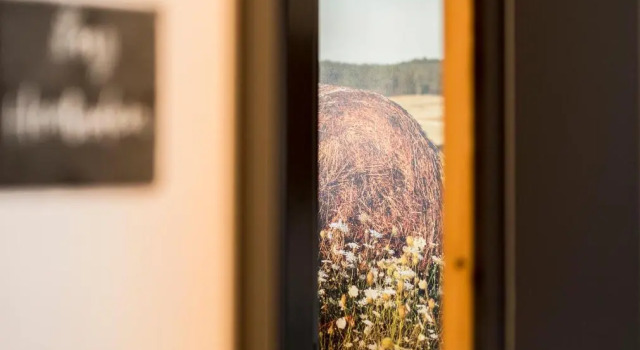 Номер Standard Отель Landgasthof zum Pflug