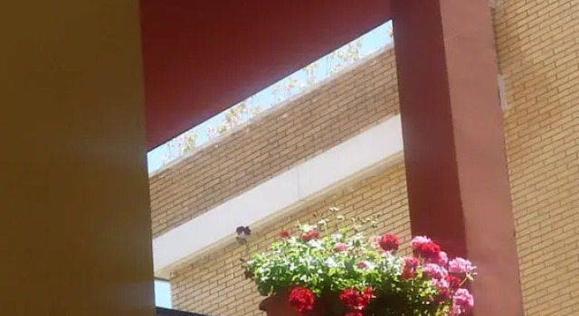Hotel Ribes Roges, Брондау Қонақ үй Vilanova I la Geltru Costa del Garraf