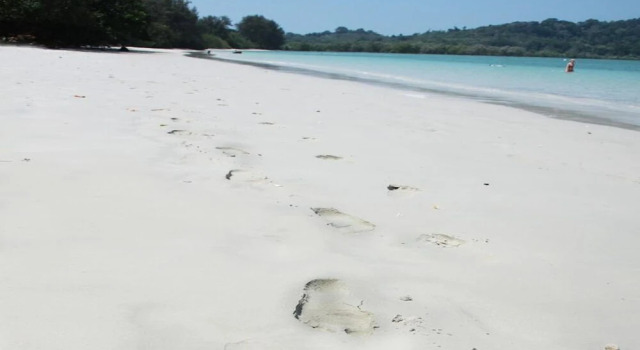 Vijit Bungalow