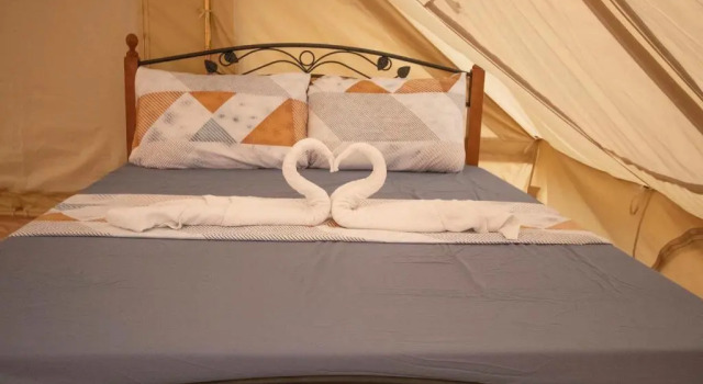 Двухместный номер Standard The Acacia Glamping Park