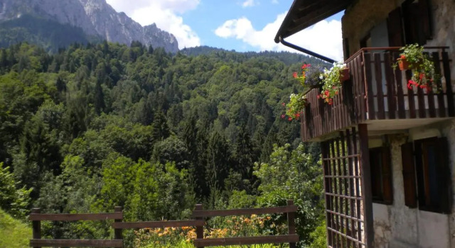 Двухместный номер Standard с видом на сад B&B DOLOMIA