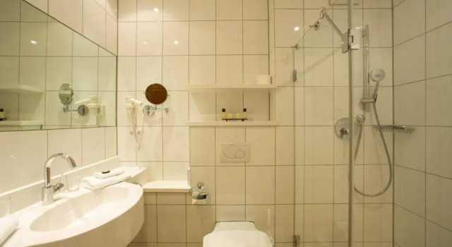 Premium room Hotel Hirsch