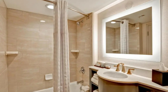 Двухместный люкс Premium с 2 комнатами Embassy Suites by Hilton Orlando Downtown