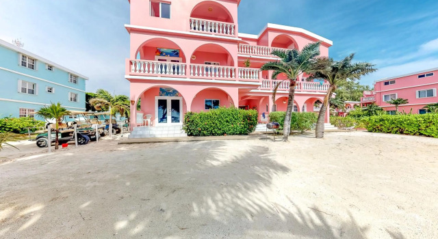 Saponaria 21-22 at Caribe Island Gold Standard Certified